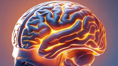Prefrontale Cortex