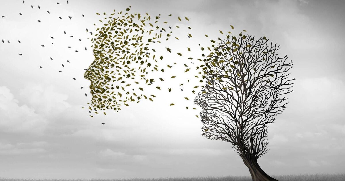 Verhoogt uw levensstijl uw risico op de ziekte van Alzheimer?