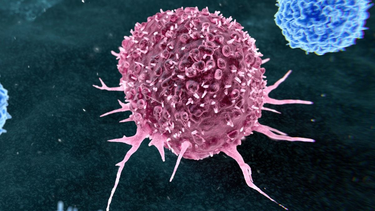 Bijna 50% van de vermijdbare kankergevallen houdt verband met slechts twee levensstijlen: ScienceAlert